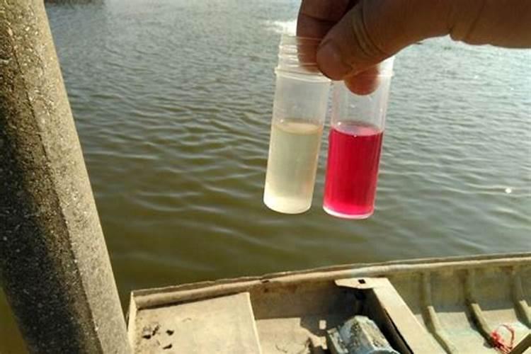 养殖污水氨氮高怎么办