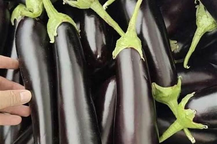磷肥对植物的作用与功效 常见磷肥种类及施用技术