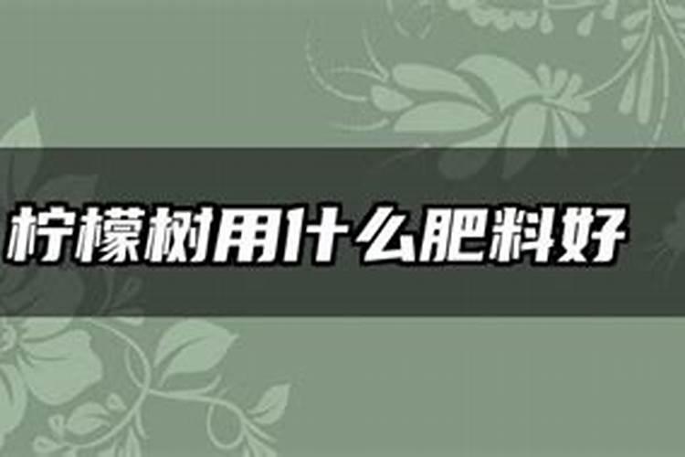 柠檬树施什么肥好