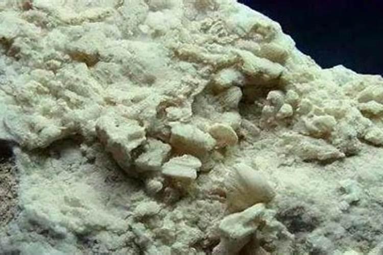木炭灰可以做肥料吗,是酸性还是碱性的