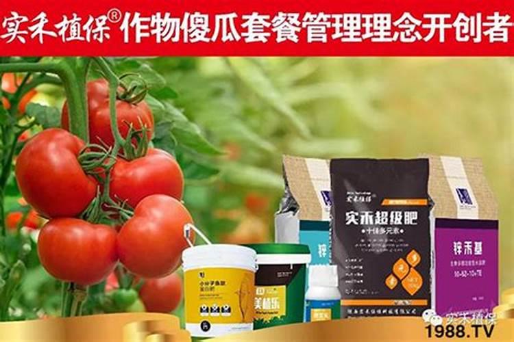 复合肥如何给植物使用