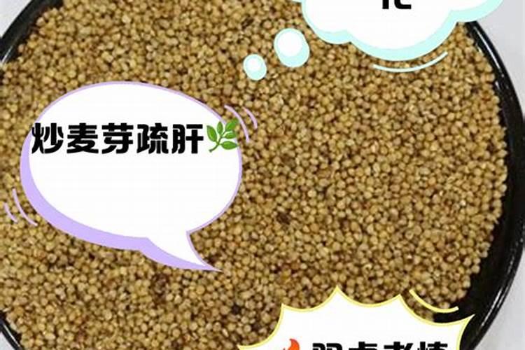 小麦胚芽的功效与作用