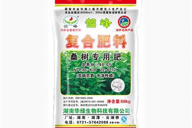 南宁路边的桑叶林