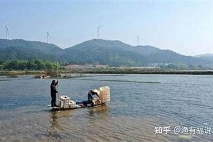 叶面肥害怎么解救