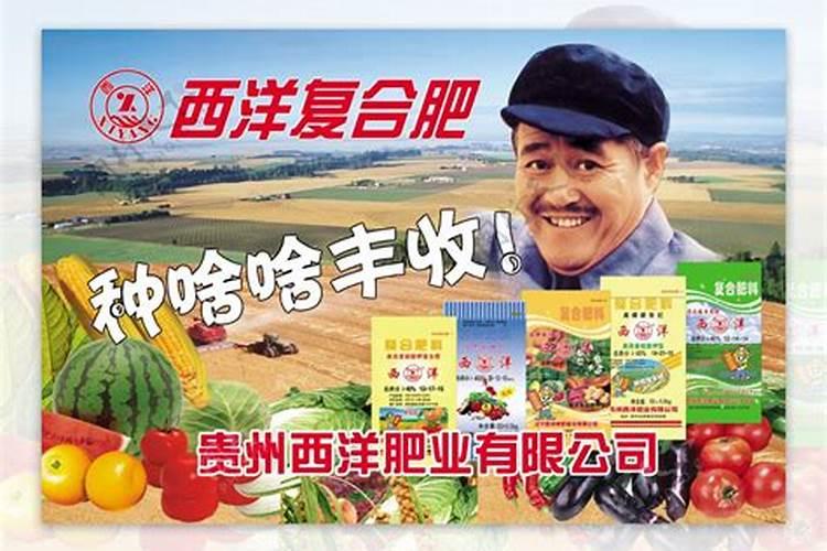 西洋复合肥有几个厂家