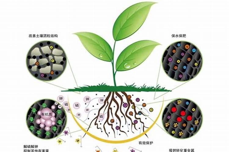 果树吊瓶技术是怎样的？