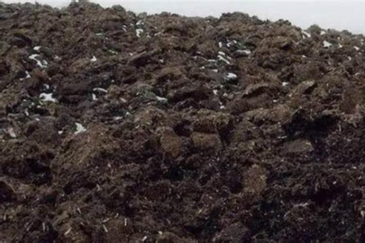 经常用什么可以改良酸性土壤