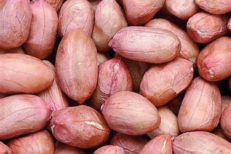 花生开花期要施什么肥