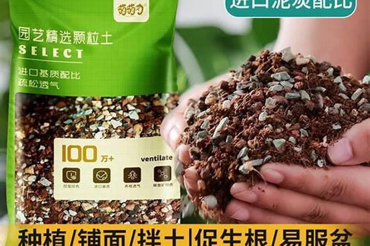 多肉上色肥料怎么用