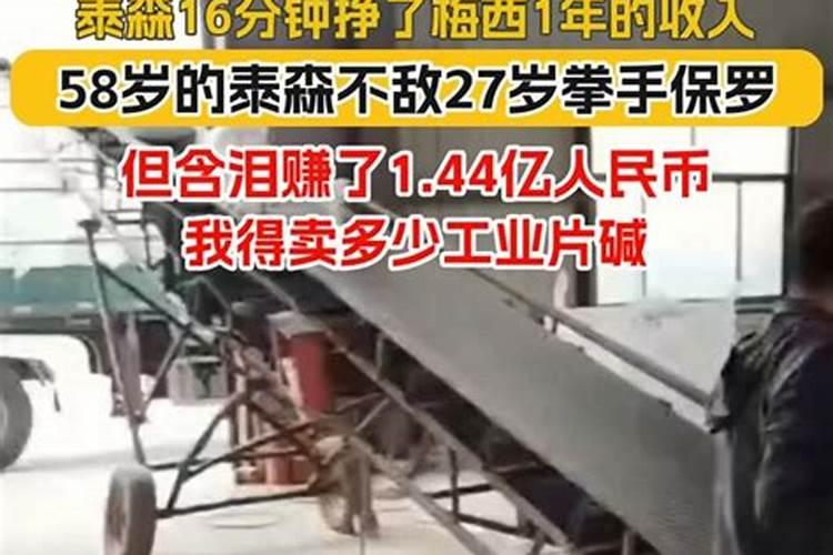 广东湛化股份有限公司公司简介