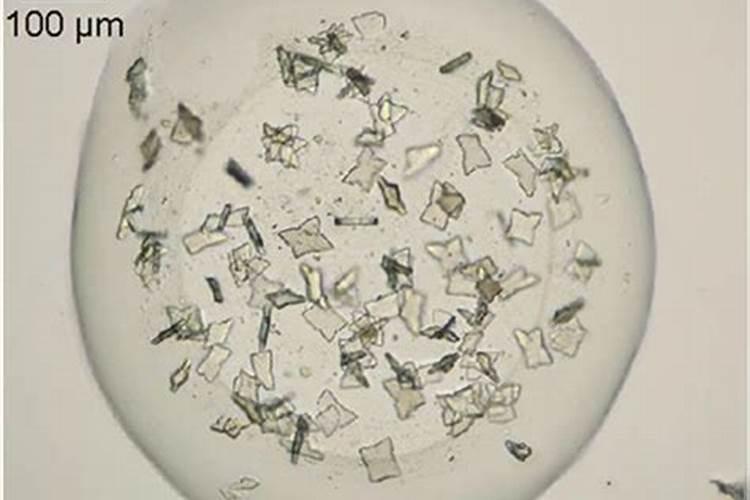 常用的氮肥品种有哪些？性质如何？施用特点是什么