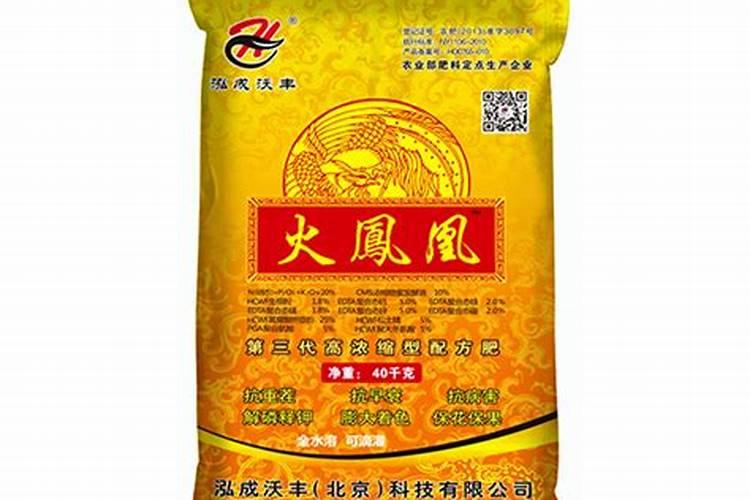 多肉植物火凤凰花怎么养殖