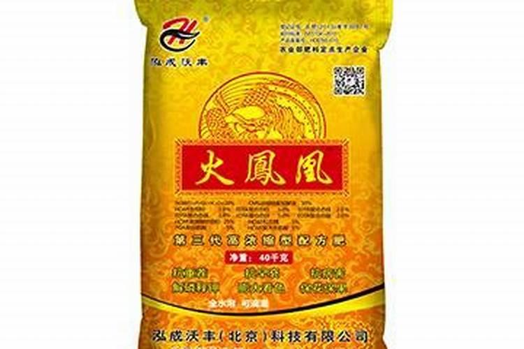 一串红是怎么种植的？