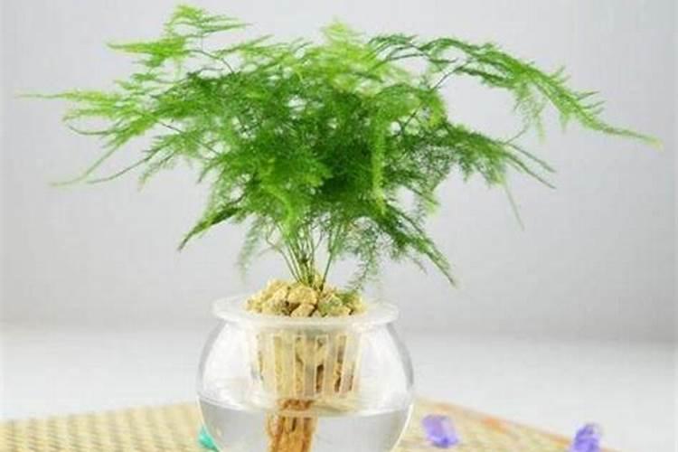 磷在水产养殖有很重要作用,那养殖户如何合理补磷呢？