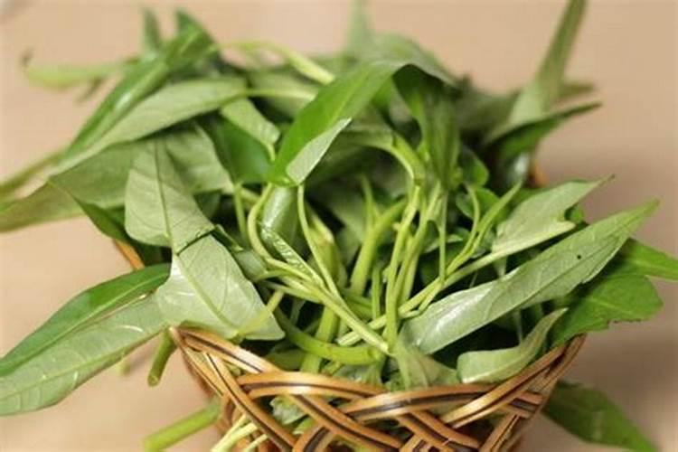 空心菜黄叶用什么肥和药