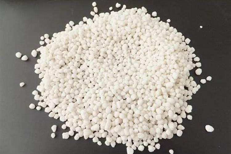 白色的小圆颗粒是什么肥料可不可以给茉莉花用