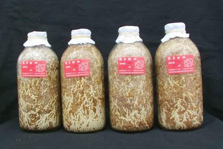 菌肥一亩用多少斤 科学合理施肥
