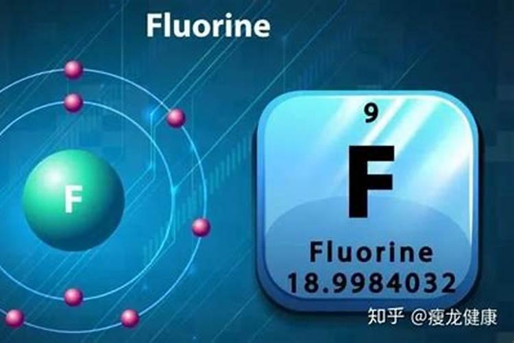果树下什么肥料最好