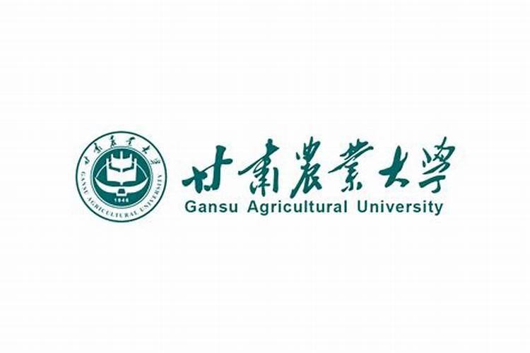 红薯最好的肥料