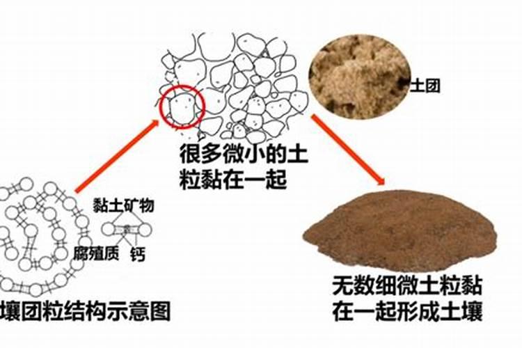 矿源黄腐酸钾和腐植酸的区别