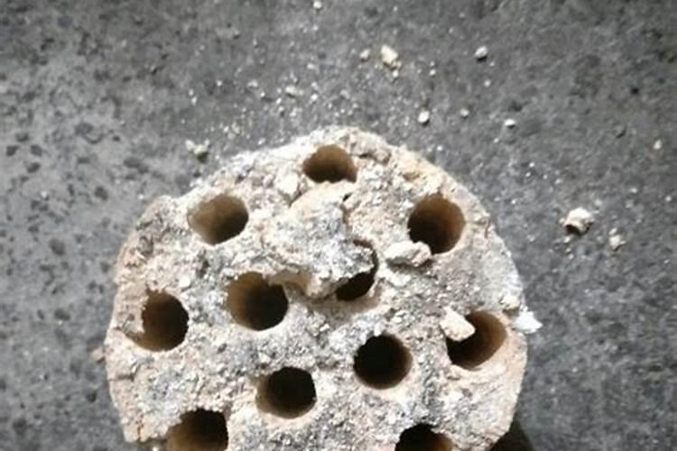 草木灰是补充钾还是氮