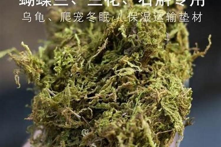 我想问一下盆栽不换土怎么施肥