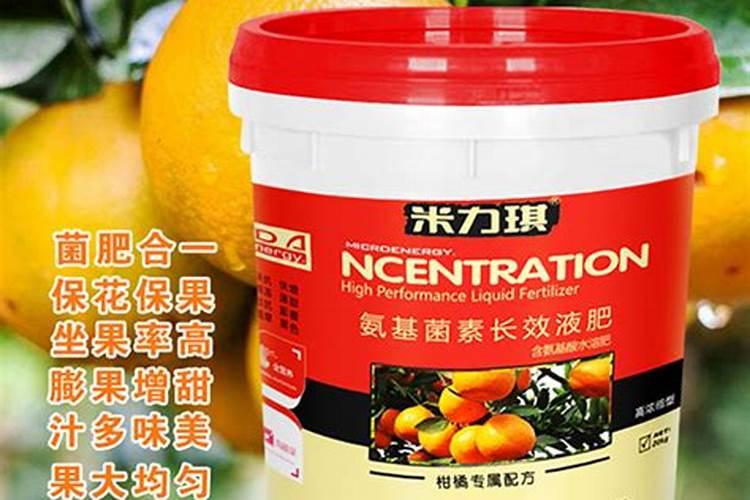 柑橘冬季管理的小技巧
