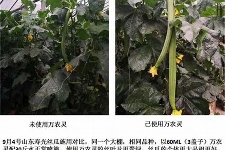 江西农用叶面肥木醋液哪家好