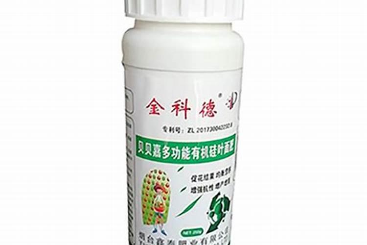 荔枝开园定植有什么好方法？需要注意哪些细节？