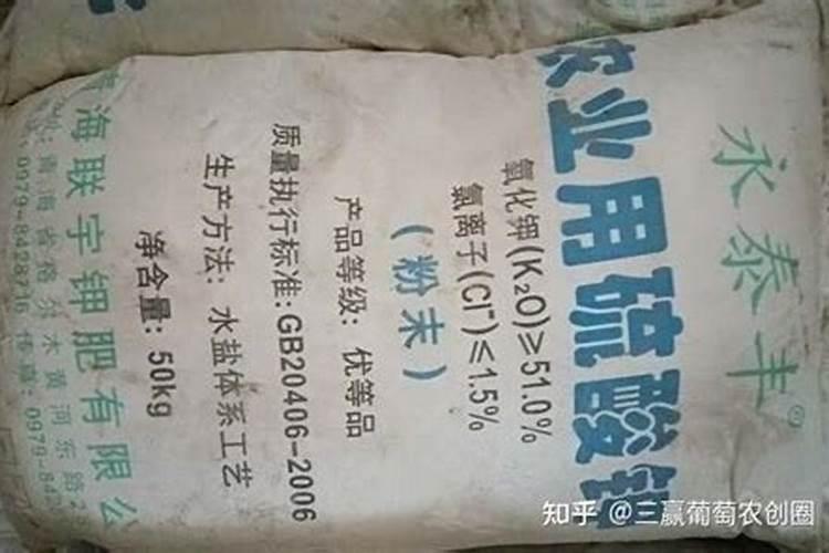 让多肉叶片肥厚施什么肥？