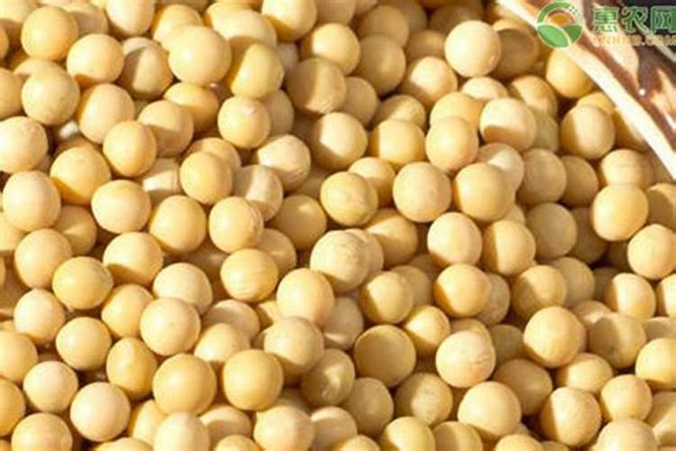 种植大豆的肥料用量每亩用氮磷钾各多少公斤是最合理的？