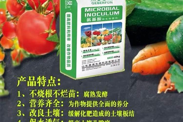 种菜用什么有机肥料最好