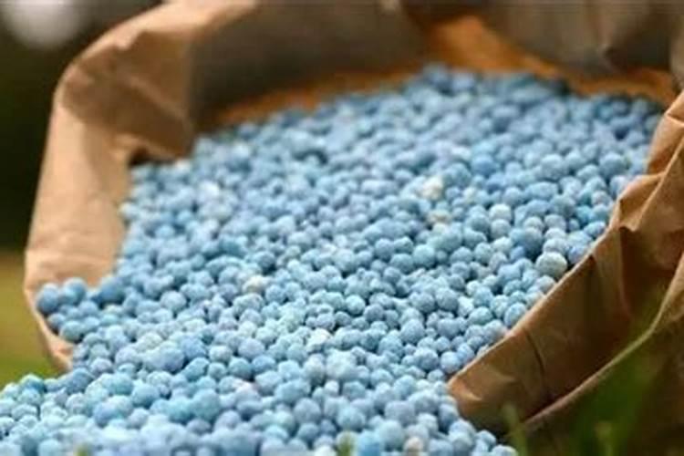 种玉米控释肥一定比复合肥好？别花“冤枉”钱,两者有哪些区别？