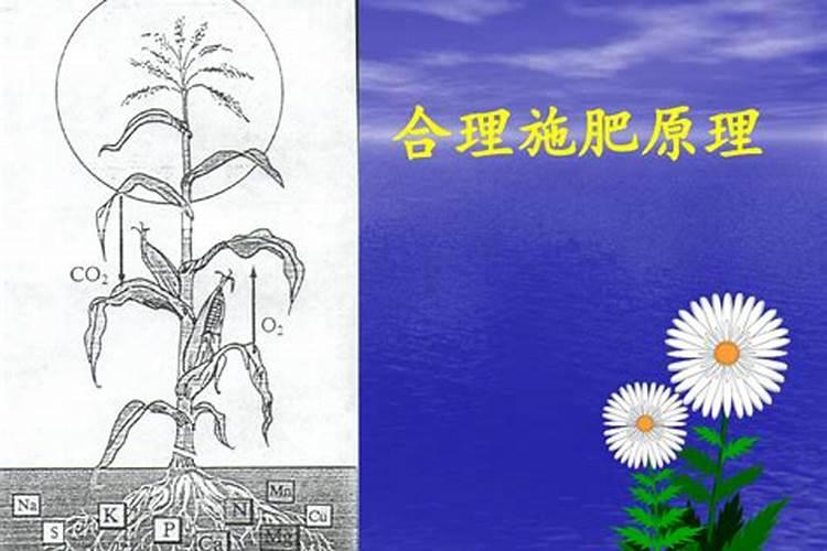 平衡施肥基本原理