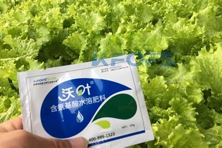 雨天施肥注意事项和方法 雨天施肥注意事项和方法有什么