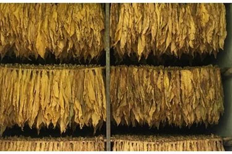 烟草复合肥的氮磷钾比例是多少？四川宜宾当地烤烟移栽的基肥有哪些量是...