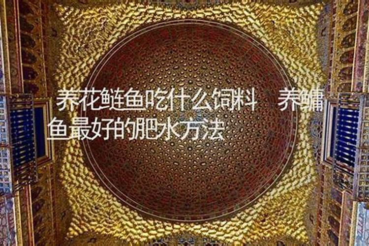 生物肥喂花白鲢怎么样