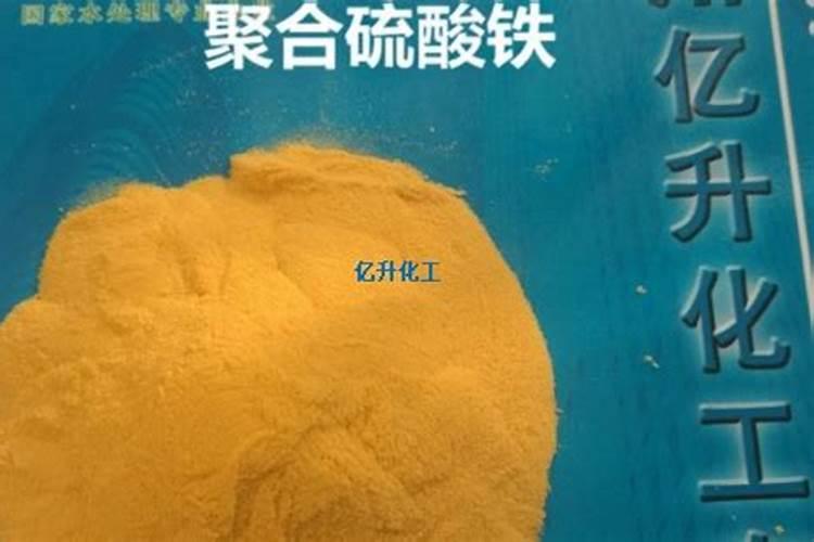 家庭盆载铁皮石斛怎么养护 碎树皮全部浇透