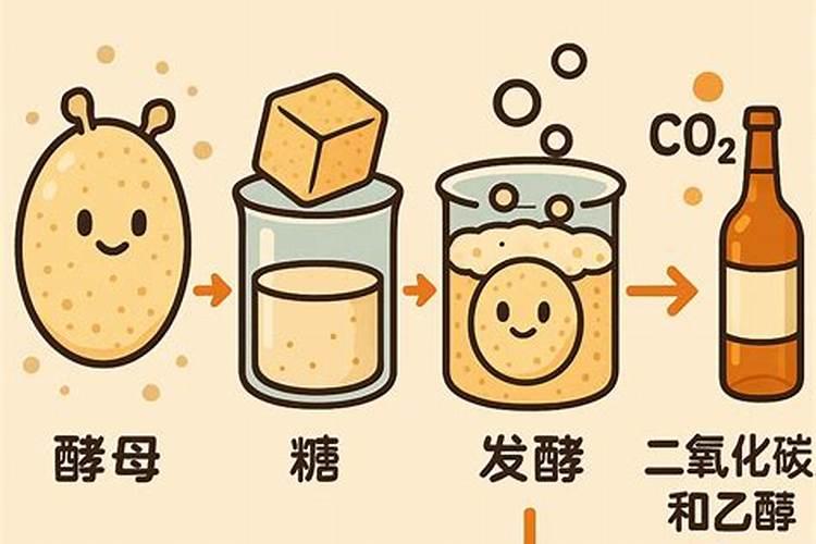 鸡蛋壳泡醋的浇菜方法