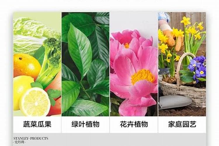 果树用什么肥料最好