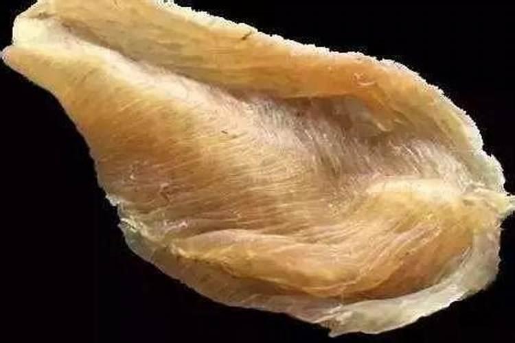 鱼胶长虫子,怎么办？