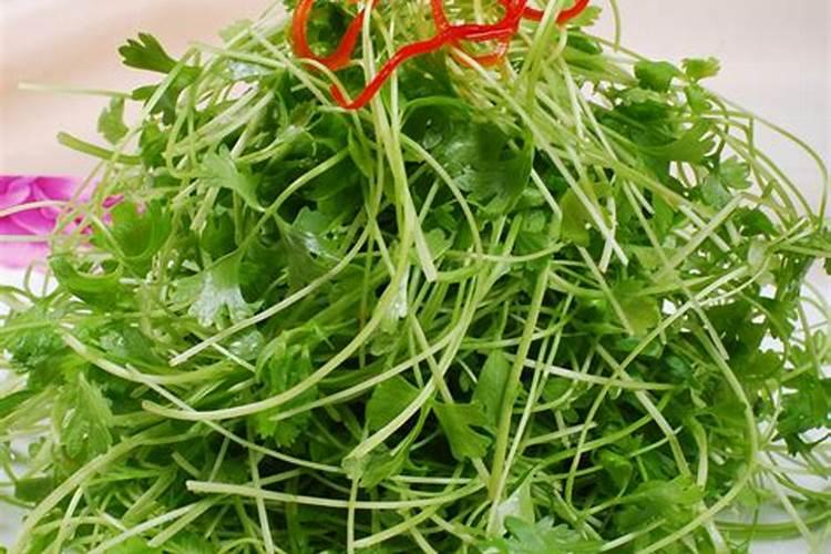 大蒜用什么肥料最好？