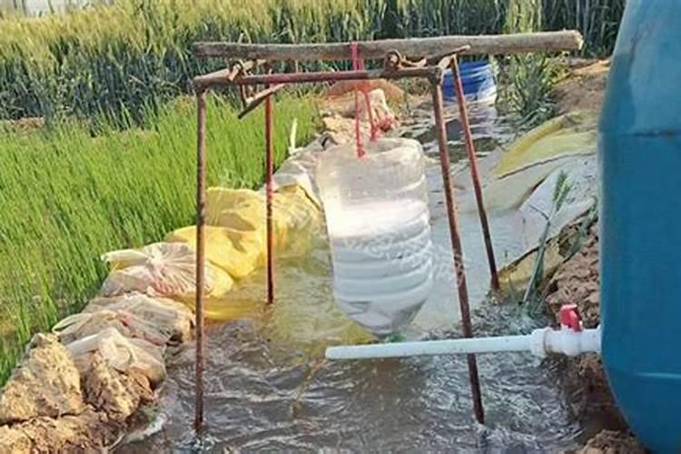 冲施肥可以漫灌冲施吗？