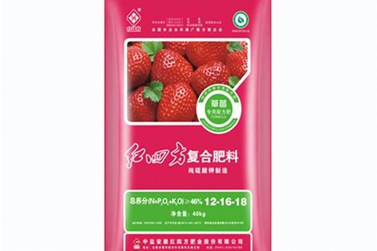 草莓盆里有小螺怎么办