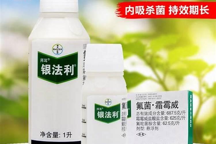 氮肥适合浇什么花