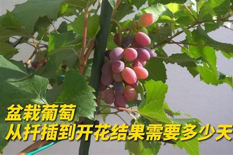 谁能讲讲hwawys是什么品牌？