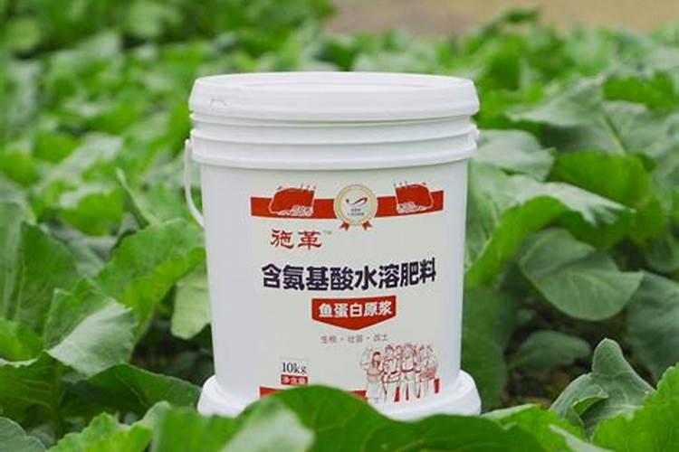 中国硼肥十大名牌