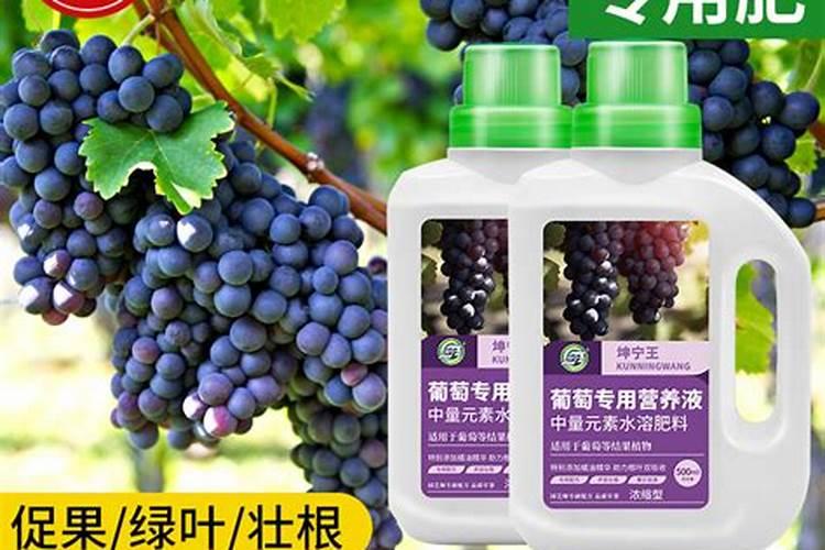 双膜双控啥意思