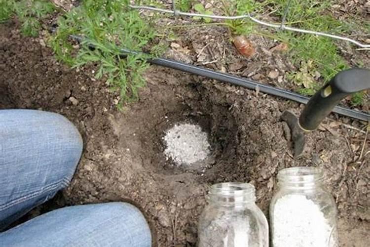 磷钾肥可以混配杀虫剂杀菌剂使用吗