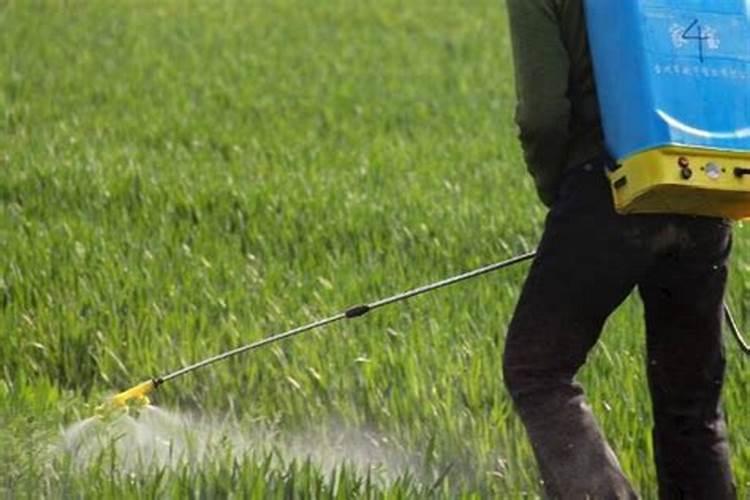 烤烟最好的肥料第一名